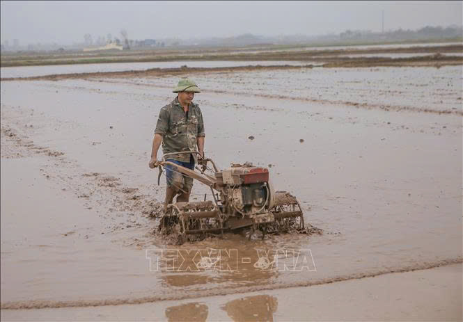 Bình Minh phấn đấu giành thắng lợi sản xuất vụ xuân