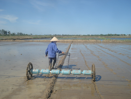 Quảng Bị hướng tới nền nông nghiệp an toàn, bền vững trong năm 2026- Ảnh 1.