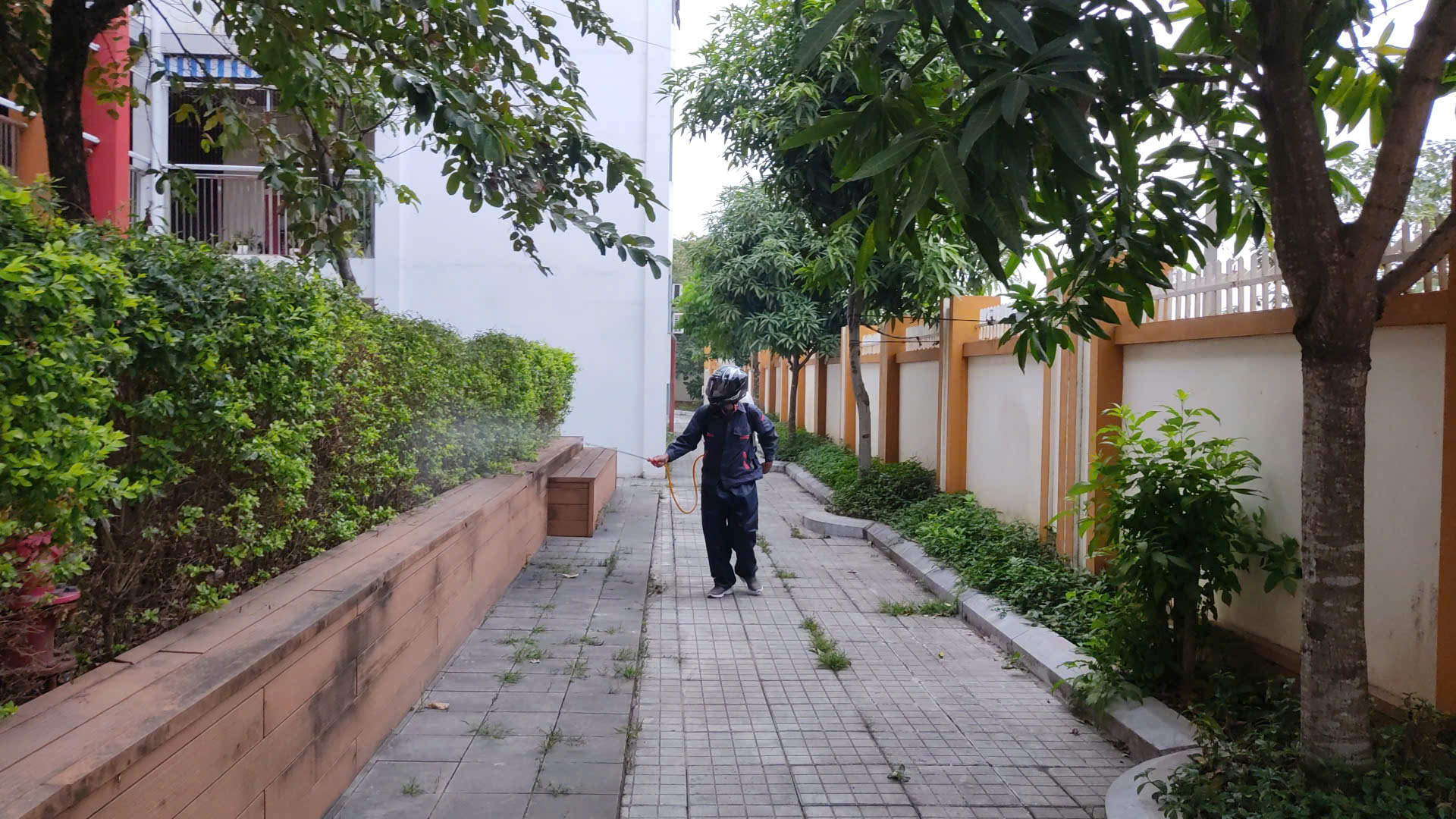 z7370099774565_16eef9d78bb2e557a6d4758e60a3791c