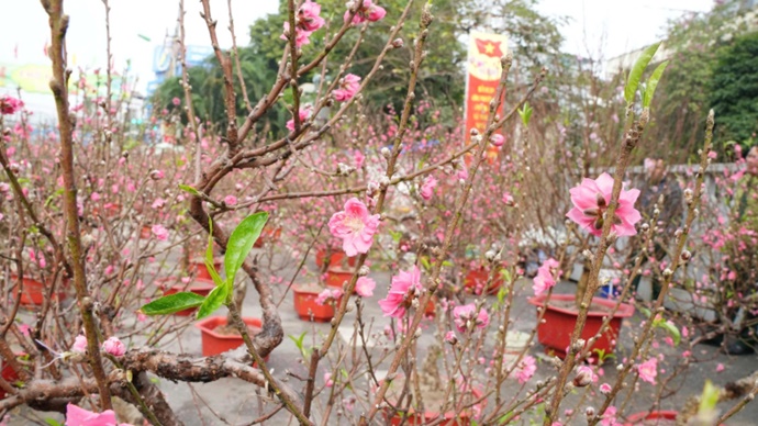 Độc đáo phiên chợ 26 Tết Giang Xá, Hoài Đức- Ảnh 8.