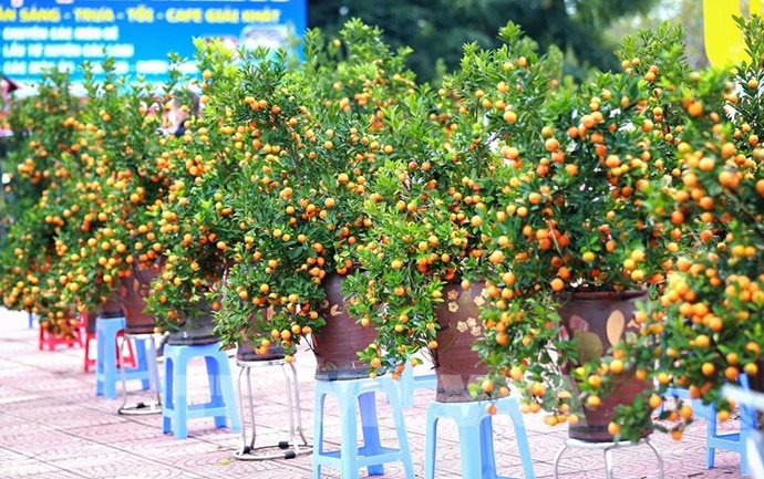 Độc đáo phiên chợ 26 Tết Giang Xá, Hoài Đức- Ảnh 9.