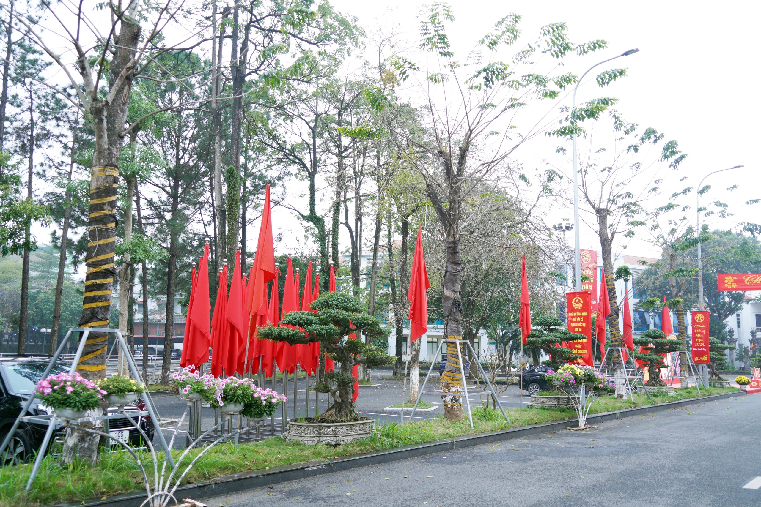 Chương Mỹ rạng rỡ đón chào năm mới - Chào Xuân Bính Ngọ năm 2026- Ảnh 5.