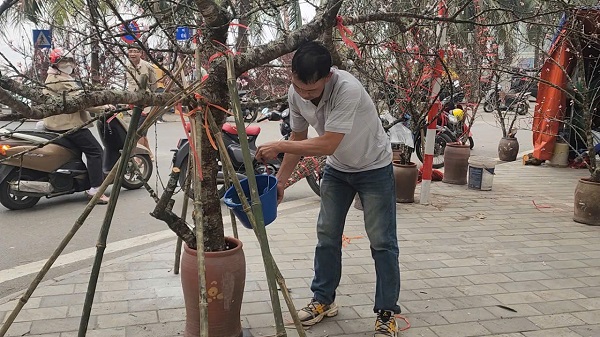 Chợ hoa Tết Tây Hồ: Đường phố thông thoáng, tiểu thương buôn bán trong trật tự- Ảnh 2.