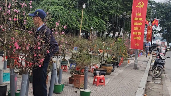 Chợ hoa Tết Tây Hồ: Đường phố thông thoáng, tiểu thương buôn bán trong trật tự- Ảnh 1.