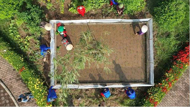 PHÁT HUY TRUYỀN THỐNG VĂN HOÁ XÂY DỰNG NGƯỜI BÌNH MINH THANH LỊCH, VĂN MINH, NGHĨA TÌNH- Ảnh 2.