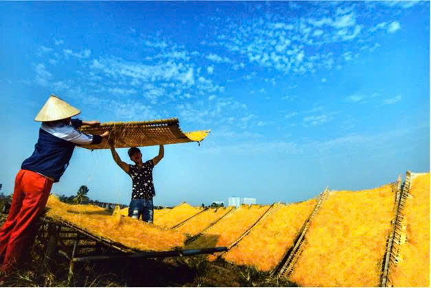 VỊ TẾT TRÊN QUÊ HƯƠNG BÌNH MINH- Ảnh 3.