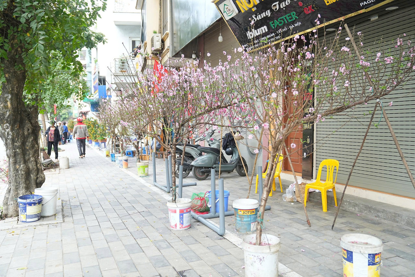 Hà Nội: Đảm bảo văn minh đô thị các điểm bán hoa Tết- Ảnh 10.