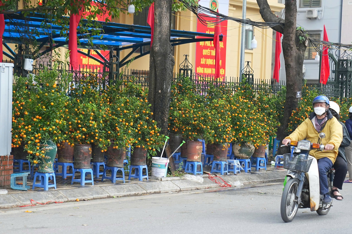 Hà Nội: Đảm bảo văn minh đô thị các điểm bán hoa Tết- Ảnh 15.