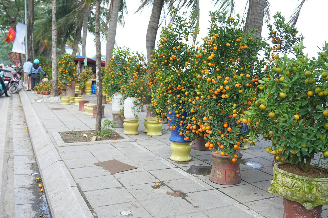 Hà Nội: Đảm bảo văn minh đô thị các điểm bán hoa Tết- Ảnh 16.