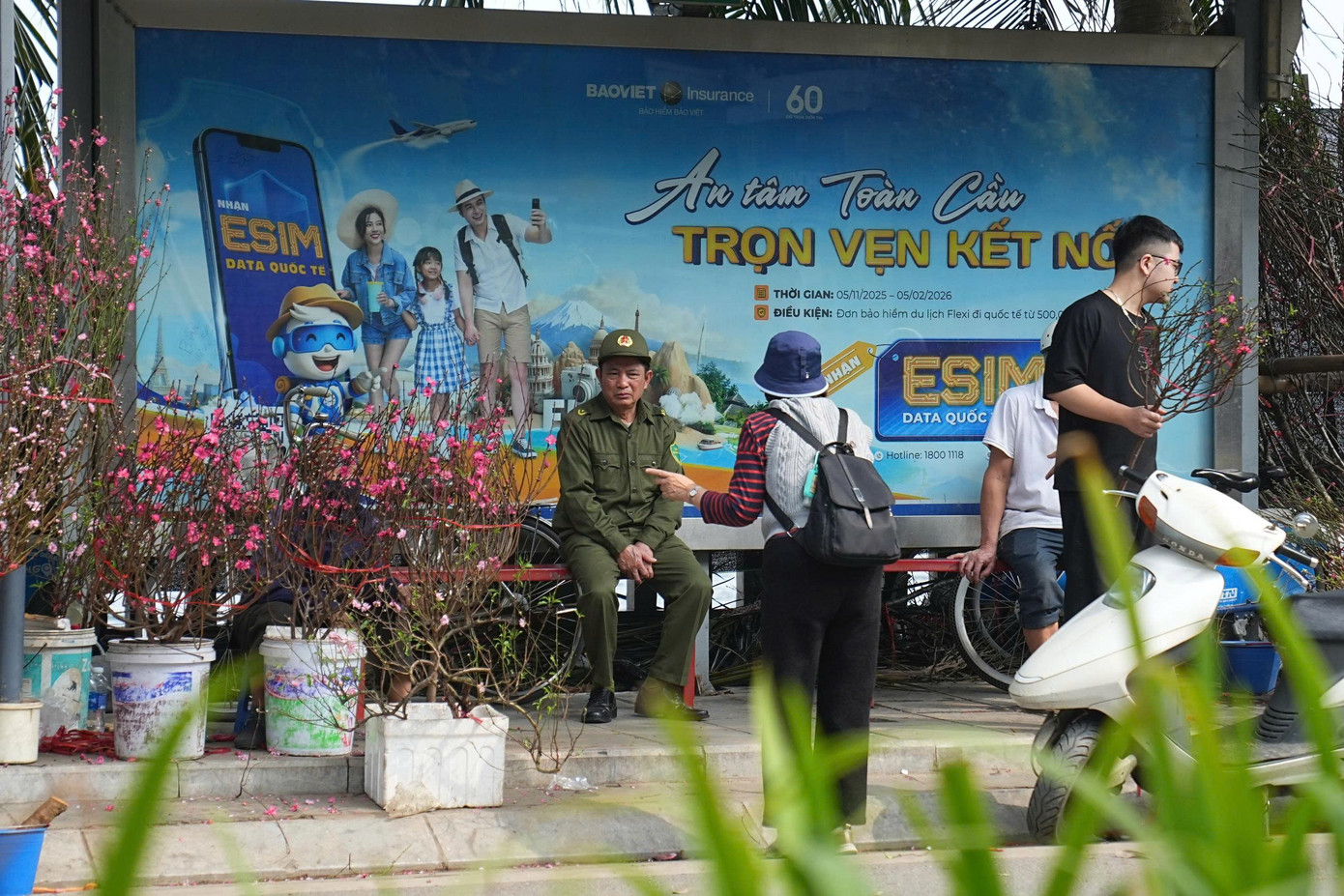 Hà Nội: Đảm bảo văn minh đô thị các điểm bán hoa Tết- Ảnh 11.