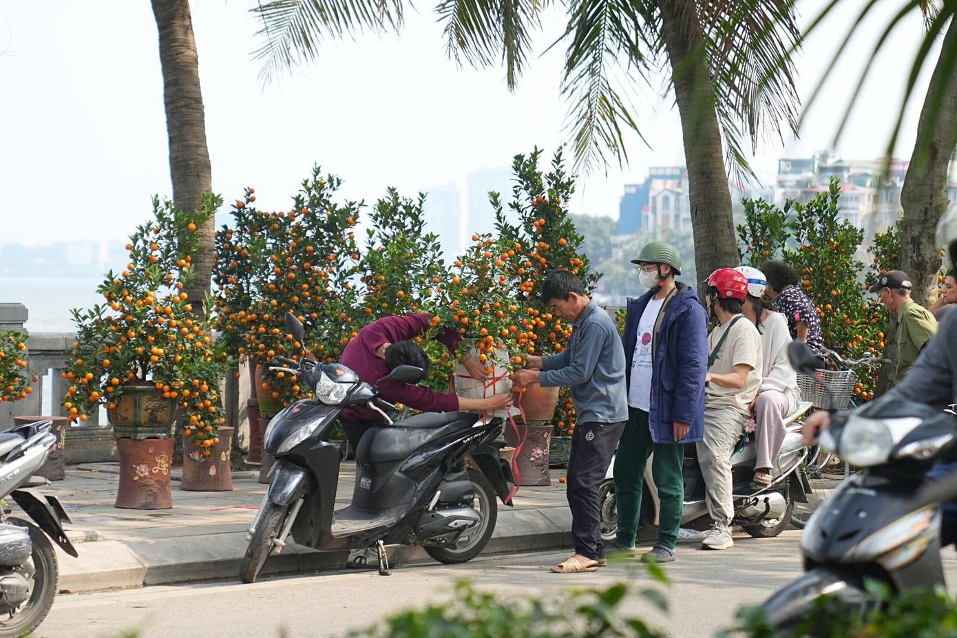 Hà Nội: Đảm bảo văn minh đô thị các điểm bán hoa Tết- Ảnh 12.