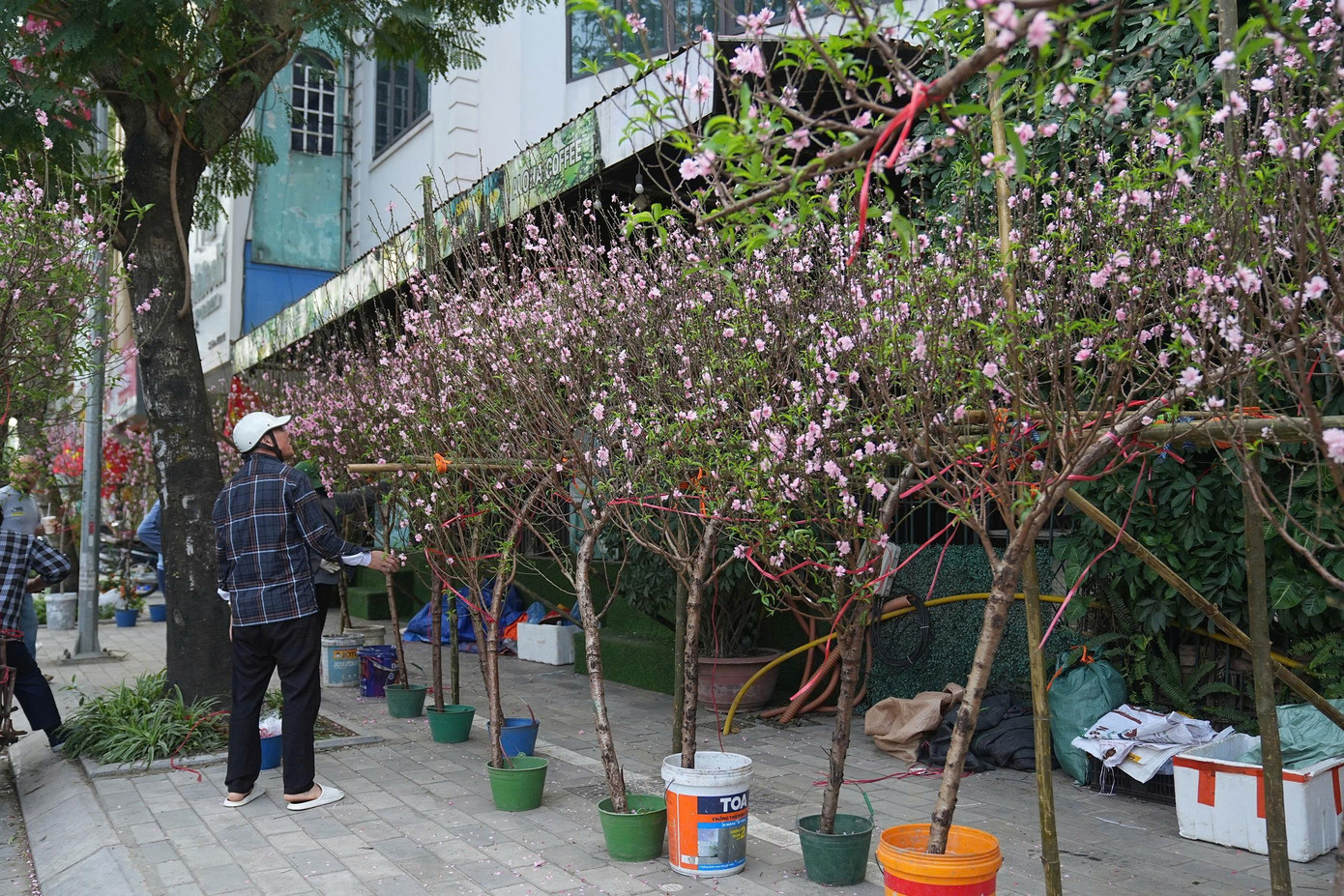 Hà Nội: Đảm bảo văn minh đô thị các điểm bán hoa Tết- Ảnh 13.
