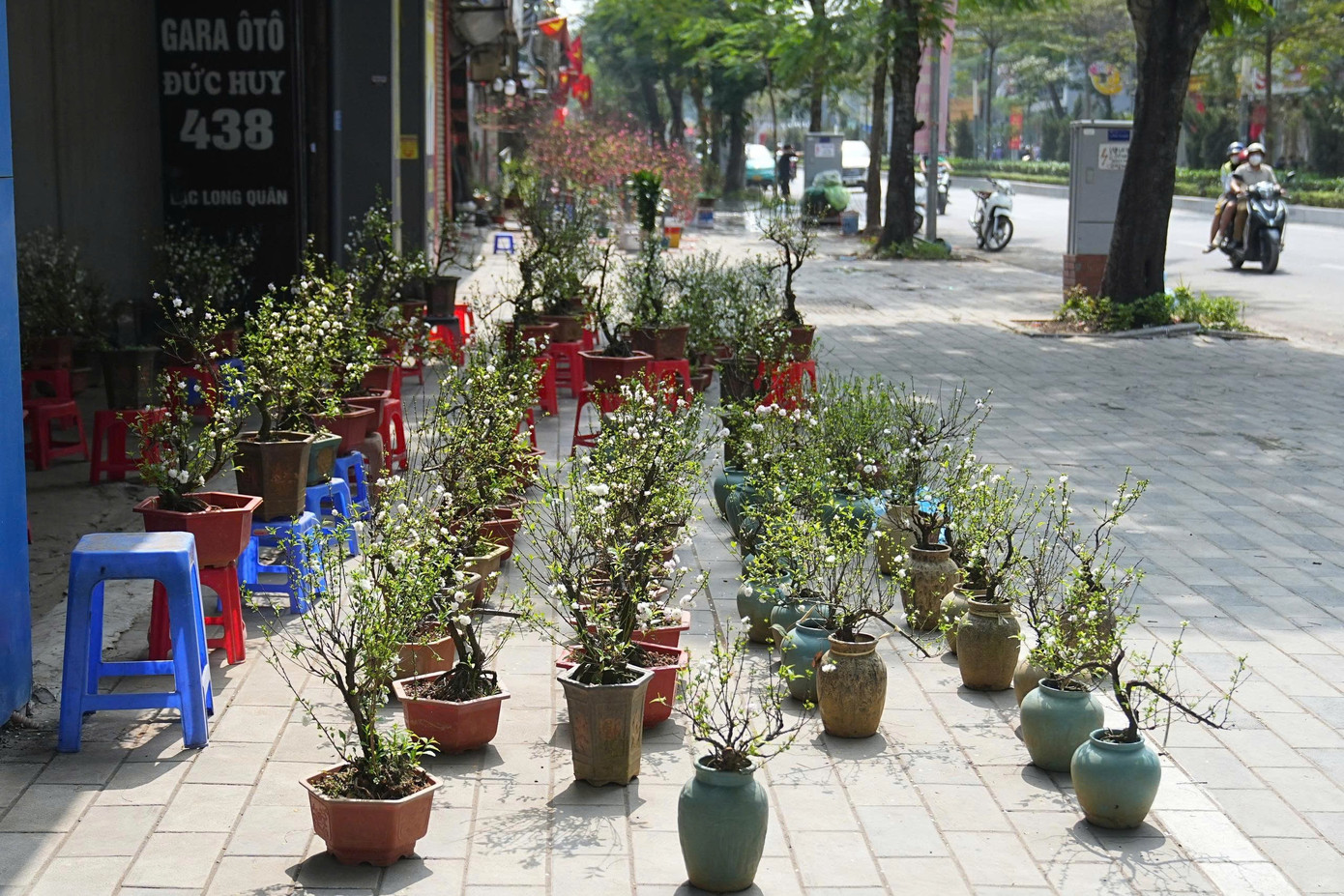 Hà Nội: Đảm bảo văn minh đô thị các điểm bán hoa Tết- Ảnh 3.