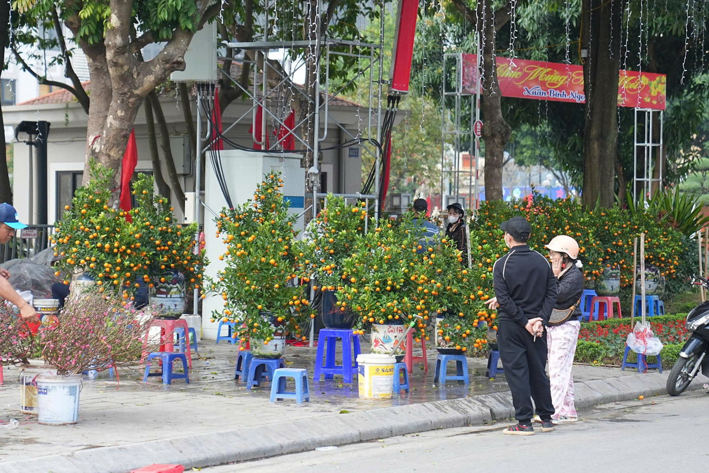 Hà Nội: Đảm bảo văn minh đô thị các điểm bán hoa Tết- Ảnh 6.