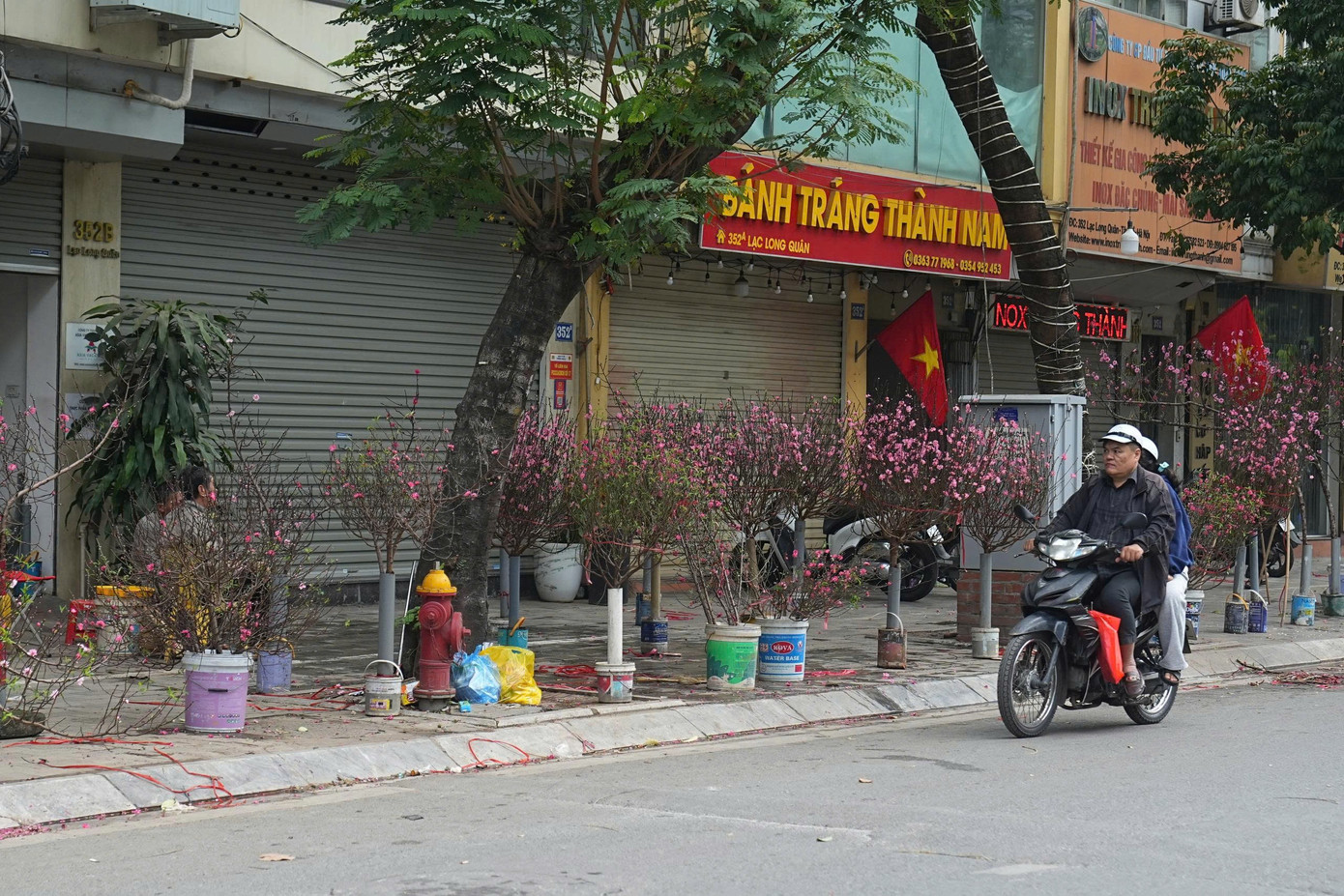 Hà Nội: Đảm bảo văn minh đô thị các điểm bán hoa Tết- Ảnh 7.