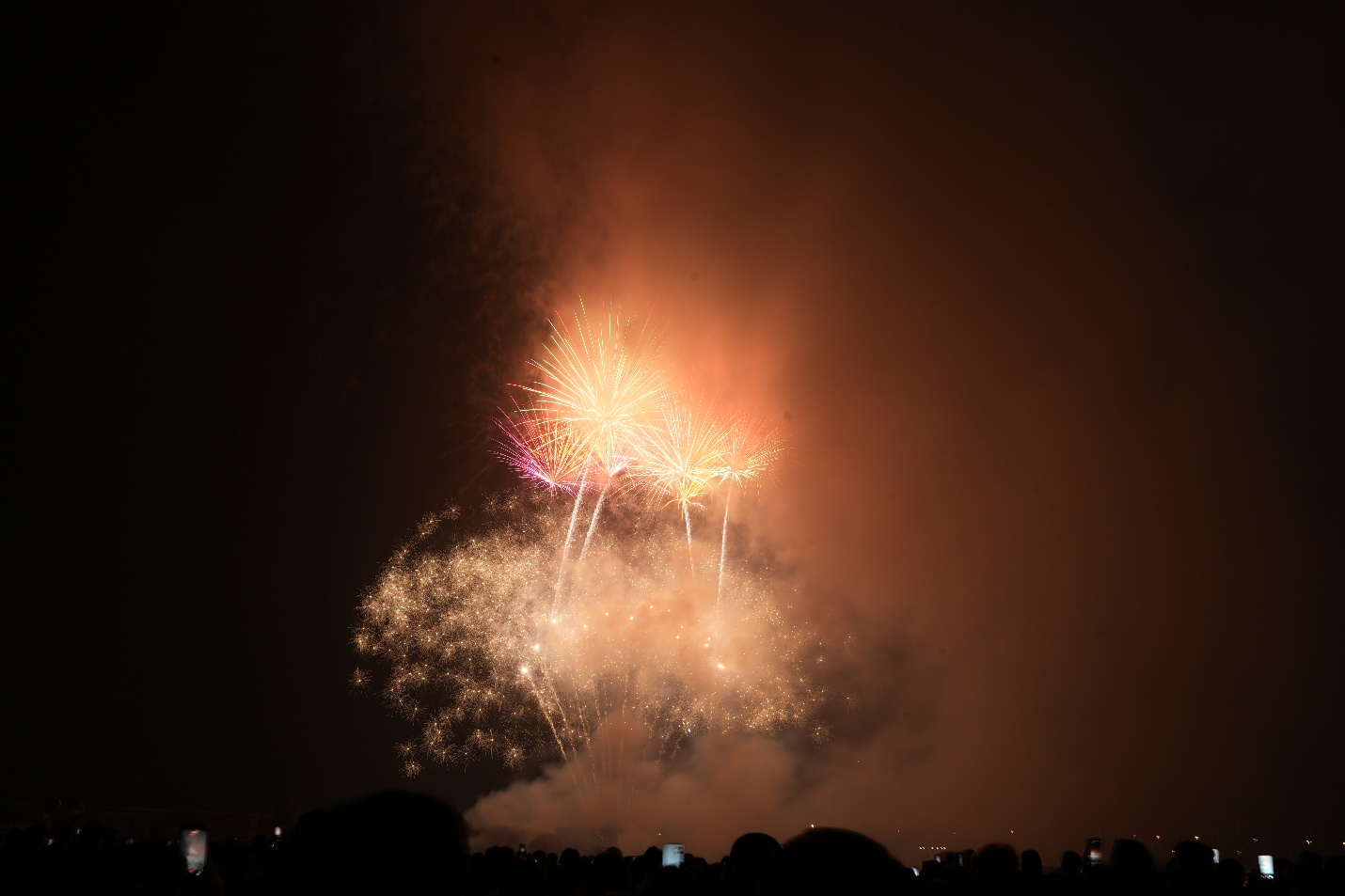 Màn bắn pháo hoa tầm cao tại Công viên Gia Lâm chào đón Xuân Bính Ngọ 2026- Ảnh 3.