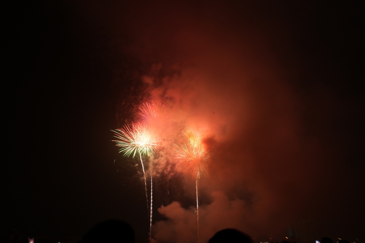 Màn bắn pháo hoa tầm cao tại Công viên Gia Lâm chào đón Xuân Bính Ngọ 2026- Ảnh 4.