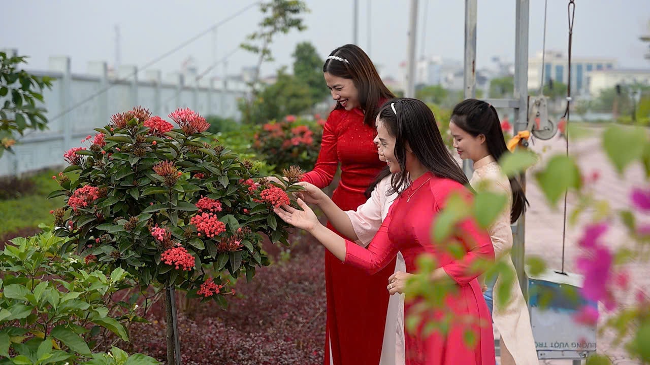 Phú Xuyên rộn ràng vào xuân- Ảnh 1.