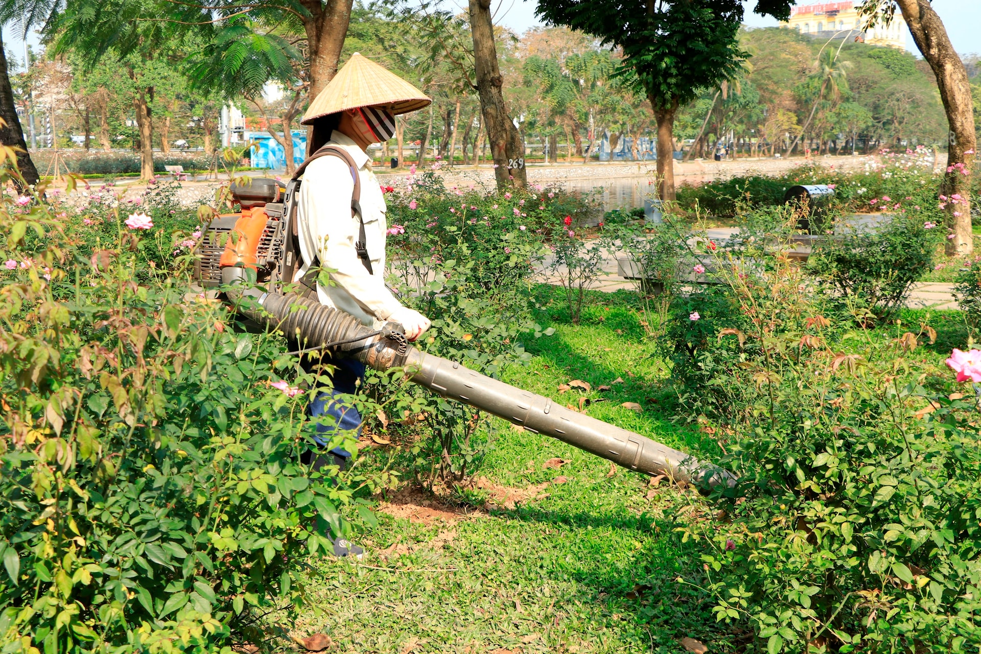 Bình yên trong những “không gian xanh” của Thủ đô ngày cuối năm- Ảnh 14.