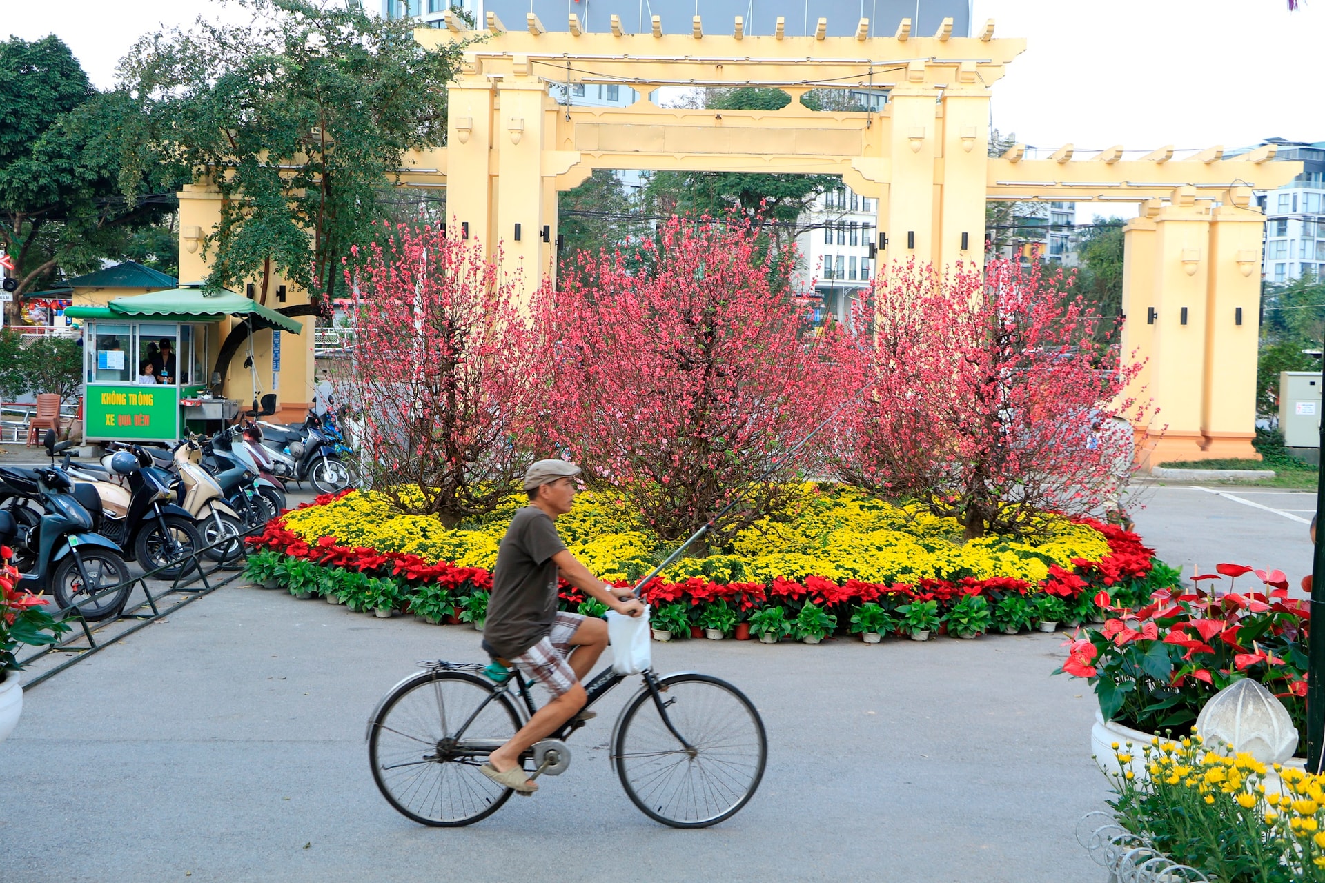 Bình yên trong những “không gian xanh” của Thủ đô ngày cuối năm- Ảnh 7.