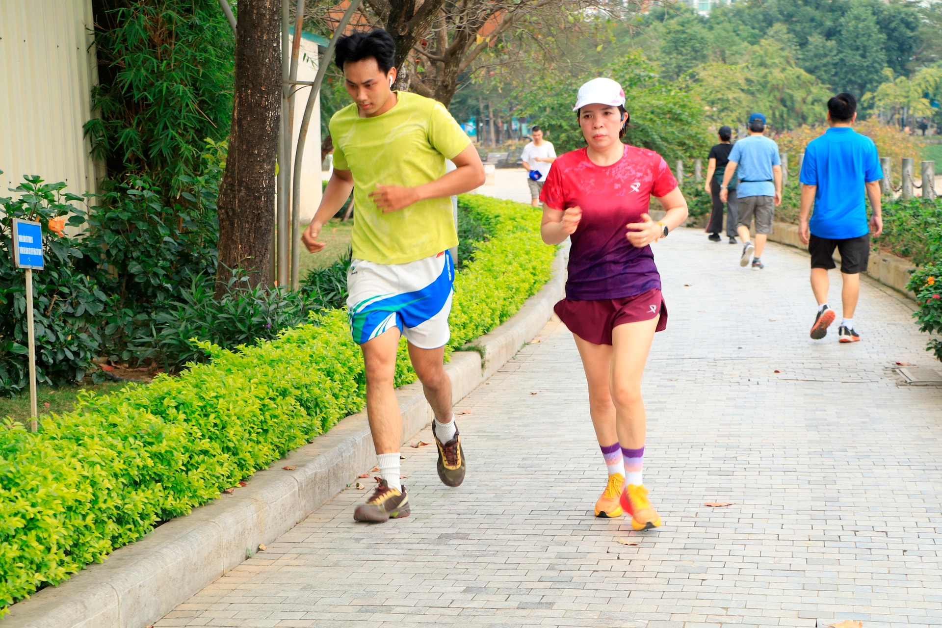 Bình yên trong những “không gian xanh” của Thủ đô ngày cuối năm- Ảnh 18.