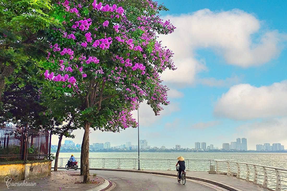 Tây Hồ: Khơi thông "điểm nghẽn" để bứt phá- Ảnh 1.