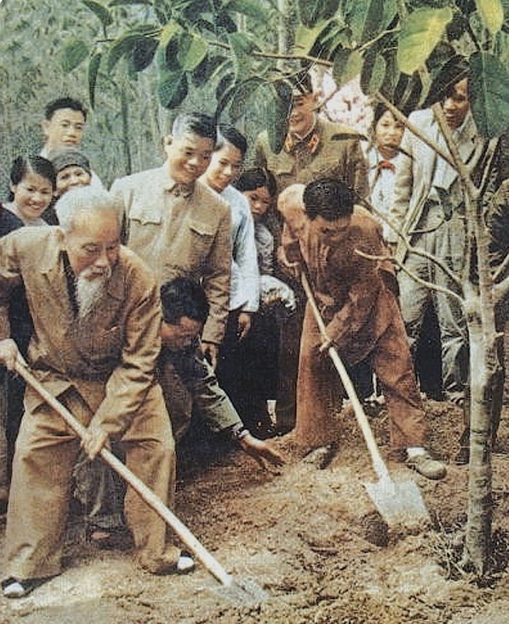 MÙA XUÂN LÀ TẾT TRỒNG CÂY- Ảnh 2.