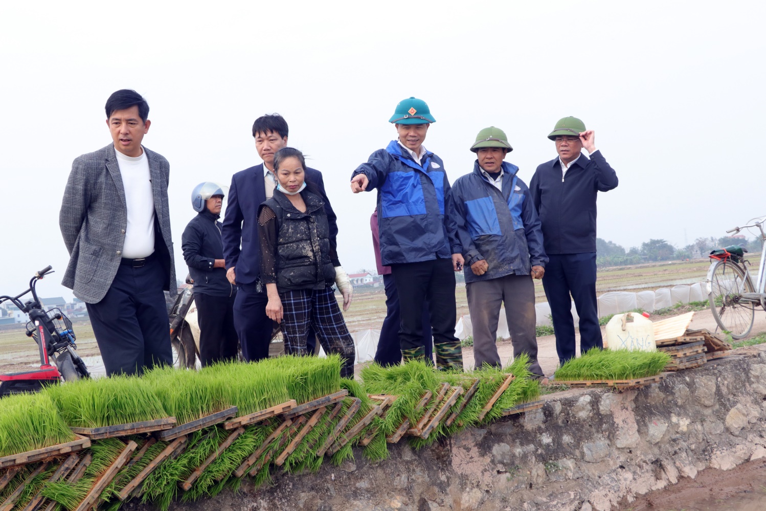 Xã Trần Phú: tổ chức thăm đồng, kiểm tra sản xuất vụ xuân- Ảnh 1.