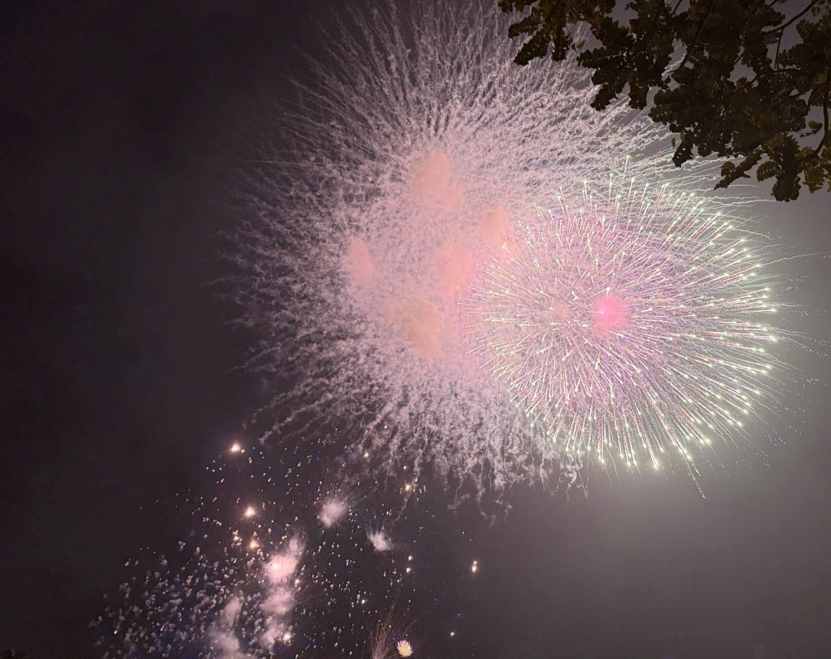 Mãn nhãn màn pháo hoa đêm Giao thừa tại hồ Văn Quán- Ảnh 1.