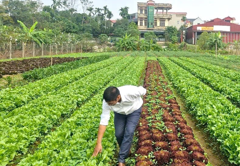 Giữ nhịp mùa xuân từ đồng ruộng- Ảnh 4.
