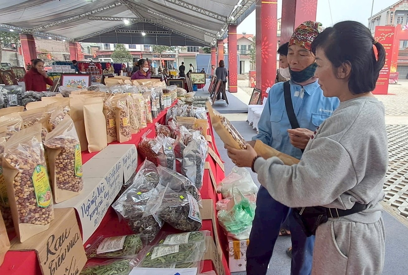 Xuân đoàn viên ấm nghĩa tình ở Đa Phúc- Ảnh 3.