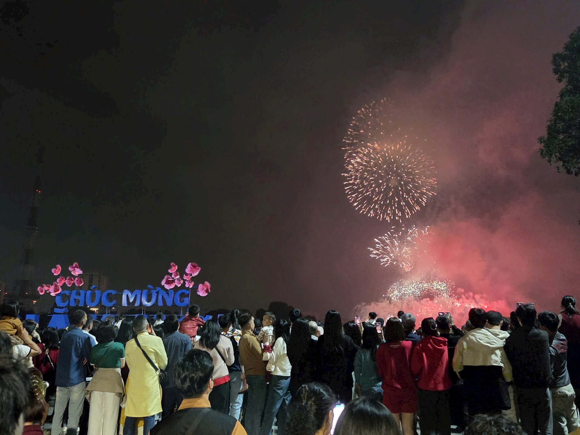 Người dân háo hức xem bắn pháo hoa tại Công viên Thống Nhất- Ảnh 9.