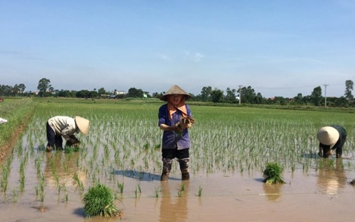 Hình ảnh minh hoạ