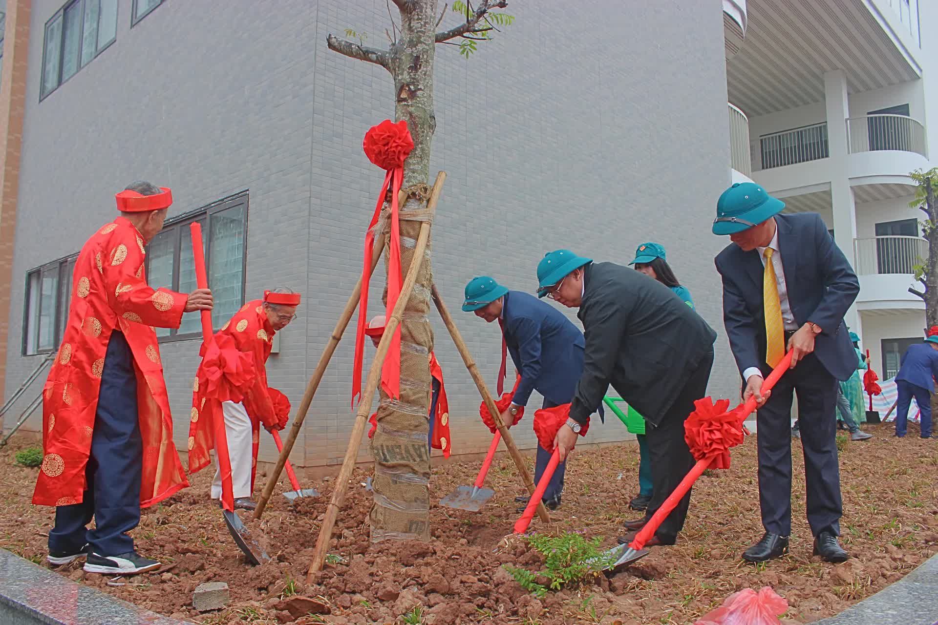 Phường Định Công hưởng ứng Tết trồng cây Xuân Bính Ngọ- Ảnh 2.