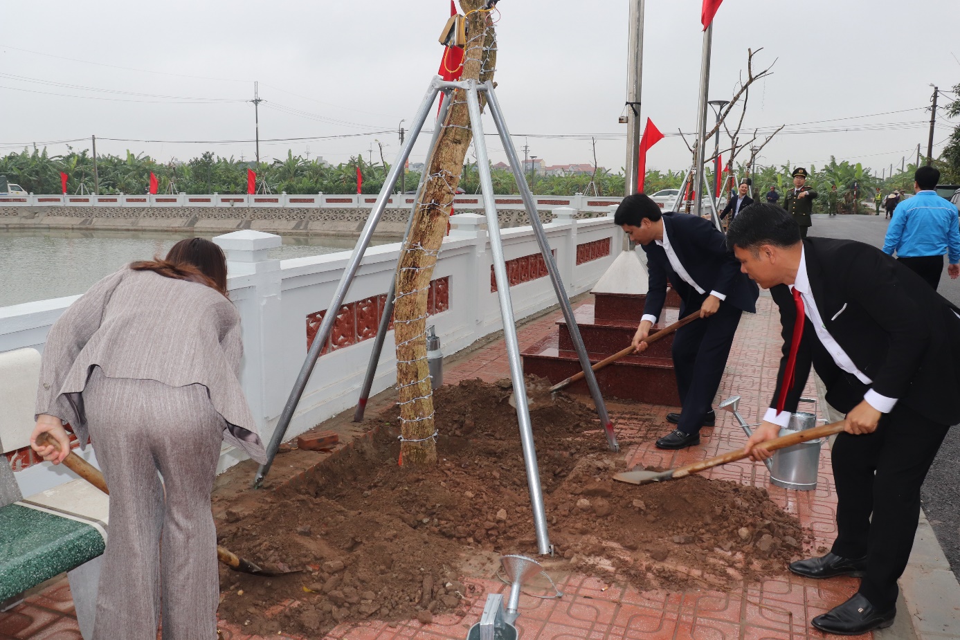 A group of people digging a tree  AI-generated content may be incorrect.