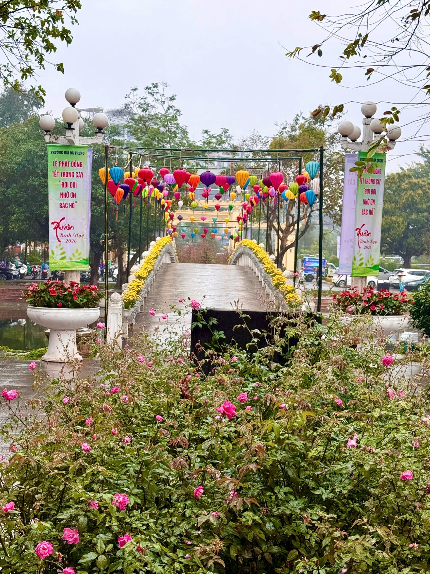 Phường Hai Bà Trưng tổ chức “Tết trồng cây đời đời nhớ ơn Bác Hồ – Xuân 2026”- Ảnh 1.