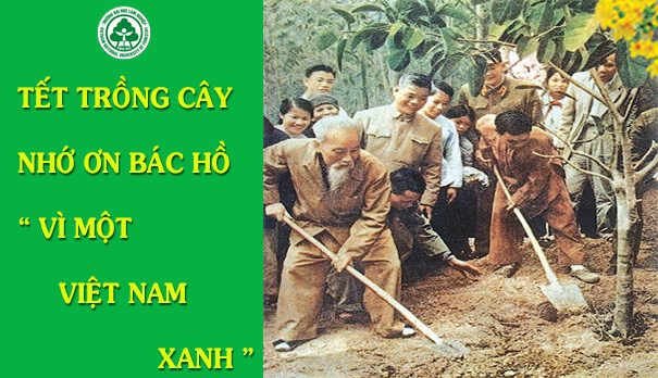 Ý nghĩa Tết trồng cây “Đời đời nhớ ơn Bác Hồ”- Ảnh 1.