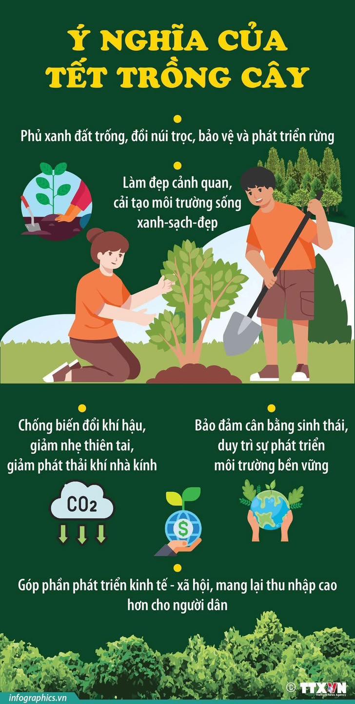 Ý NGHĨA CỦA TẾT TRỒNG CÂY- Ảnh 1.