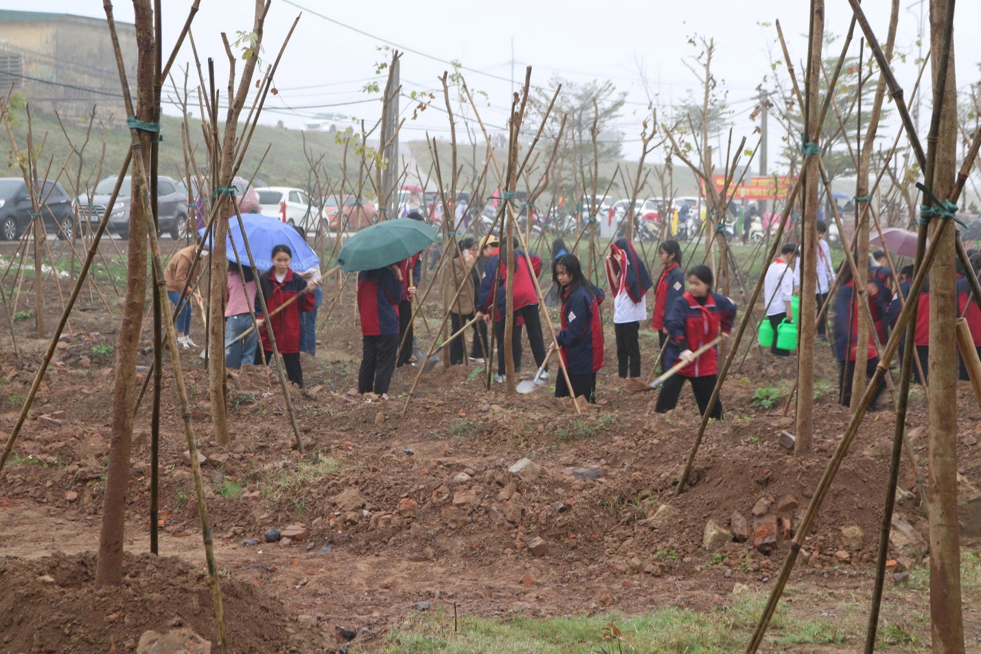Xã Mê Linh tổ chức Lễ phát động Tết trồng cây "Đời đời nhớ ơn Bác Hồ" Xuân Bính Ngọ năm 2026- Ảnh 4.
