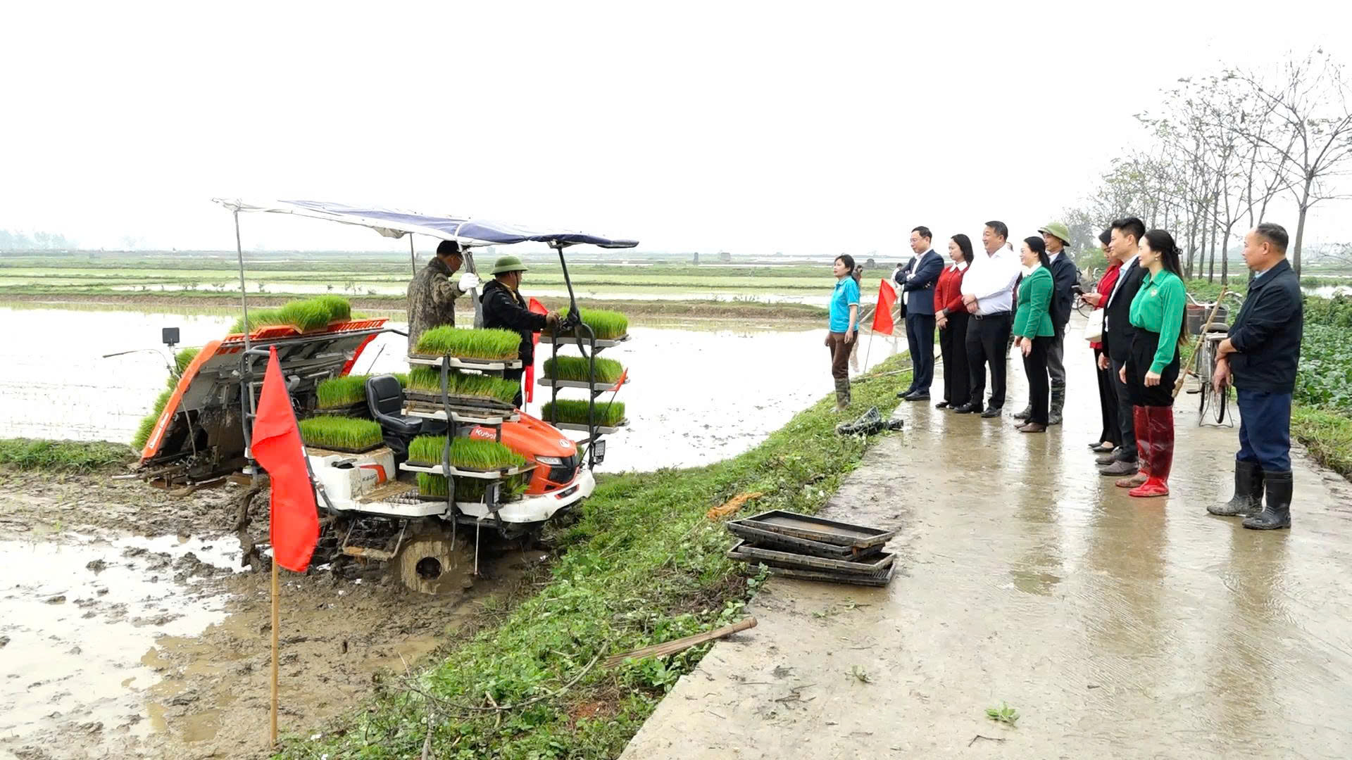 Phó Chủ tịch UBMTTQ, Chủ tịch hội nông dân thành phố Hà Nội Phạm Hải Hoa kiểm tra mô hình mạ khay, máy cấy ở xã Bình Minh