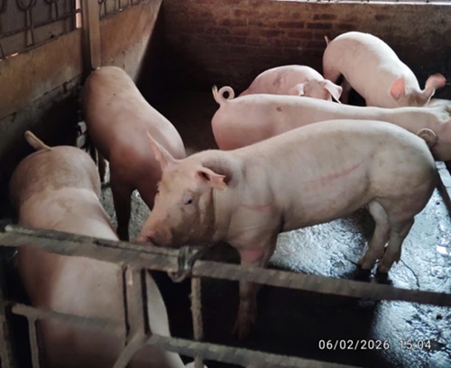 Ngân hàng Chính sách xã hội Hoài Đức chuẩn bị vốn tín dụng chính sách, tập trung giải ngân, tiếp sức cho các làng nghề tại các xã&nbsp;Sơn Đồng, An Khánh, Dương Hòa và Hoài Đức sau Tết Nguyên đán Bính Ngọ 2026- Ảnh 4.