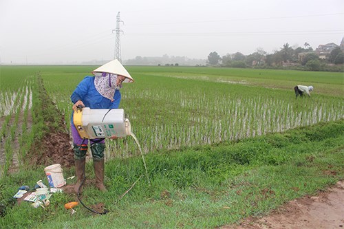 Báo động tình trạng vứt vỏ bao bì thuốc BVTV bừa bãi: Mối nguy hại khôn lường cho sức khỏe và môi trường- Ảnh 1.
