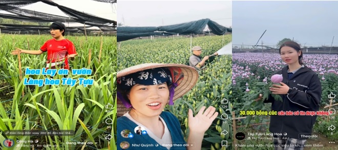 Tây Tựu: Phát triển nông nghiệp gắn với ứng dụng công nghệ, mở rộng thị trường- Ảnh 4.