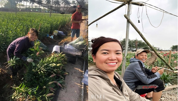 Tây Tựu: Phát triển nông nghiệp gắn với ứng dụng công nghệ, mở rộng thị trường- Ảnh 3.