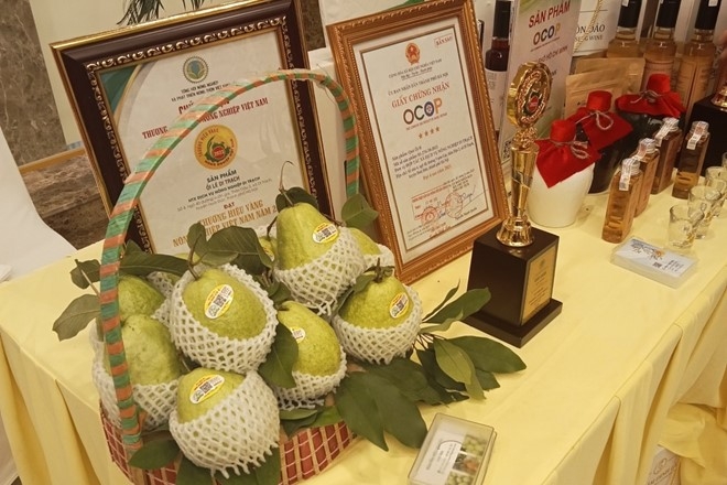 Hoài Đức quyết tâm bứt phá phát triển kinh tế năm 2026- Ảnh 2.