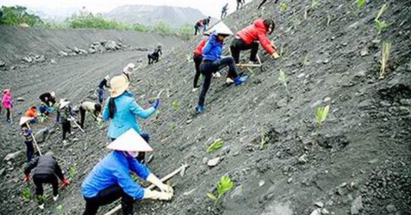 Hà Nội chuẩn hóa, số hóa 06 thủ tục hành chính lĩnh vực Môi trường, tăng tốc cải cách hành chính- Ảnh 2.