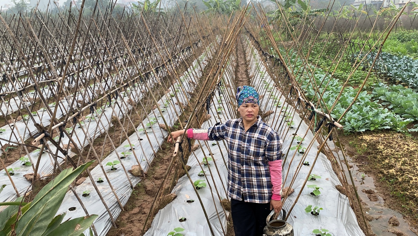 D:\ẢNH ĐỒNG RUỘNG\drive-download-20260225T123512Z-1-001\IMG_9898.jpg