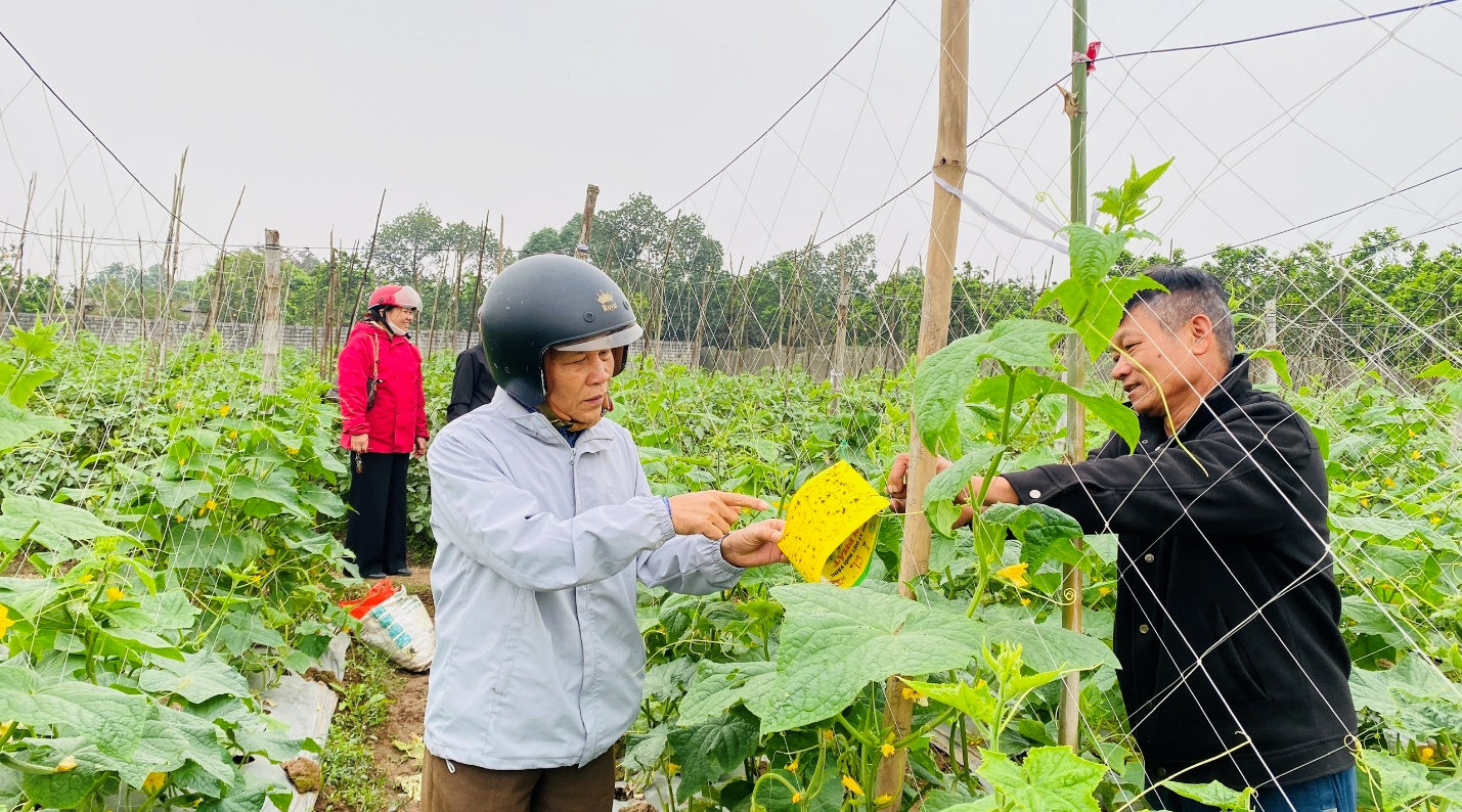 D:\ẢNH ĐỒNG RUỘNG\z7529092800229_404f6ad217b6a5bdf71e87f4ca1f6517.jpg