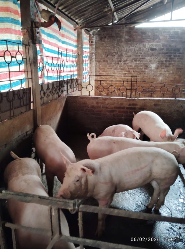 Ngân hàng Chính sách xã hội Hoài Đức: Chuẩn bị vốn tín dụng chính sách, tập trung giải ngân, tiếp sức cho các làng nghề tại các xã&nbsp;Sơn Đồng, An Khánh, Dương Hòa và Hoài Đức, sau Tết Bính Ngọ 2026.- Ảnh 4.