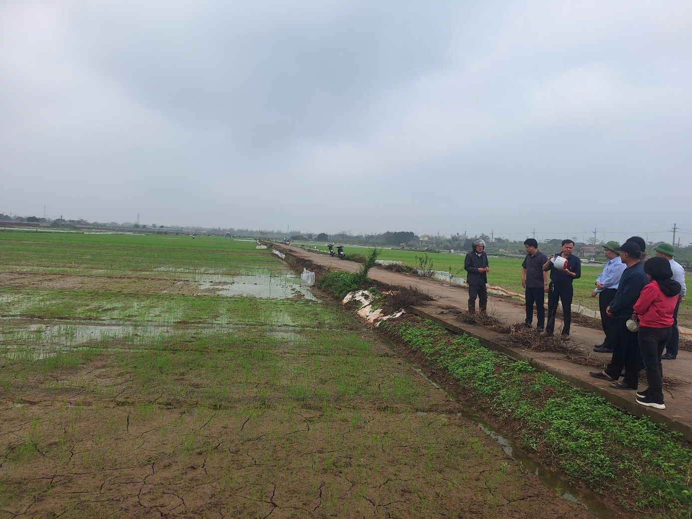 Ảnh có chứa bầu trời, ngoài trời, cỏ, mây  Nội dung do AI tạo ra có thể không chính xác.